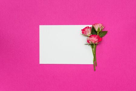 Small roses and blank white card on pinkの写真素材