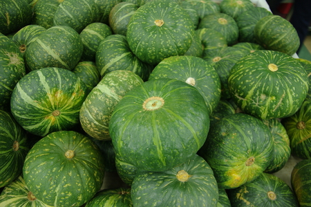 Green pumpkinsの写真素材