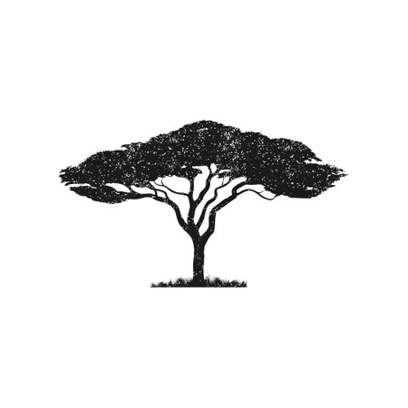 Vector silhouette of acacia tree.African tree isolated silhouetteのイラスト素材