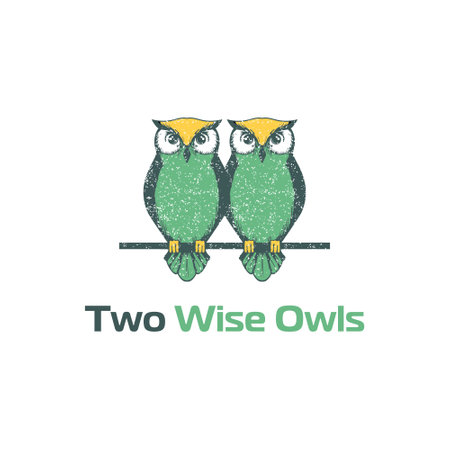 Two owl logo with colorful style logo designsのイラスト素材