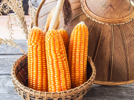 corn in basket, on wooden tableの写真素材