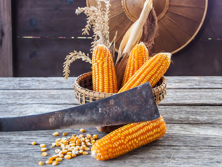 corn in basket knife on wooden tableの写真素材