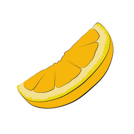 Orange fruit with black outline digital illustration. Advertising bright fruit object on white background. Citrus orange slice fruit isolated.の写真素材