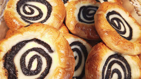Sour cream buns with poppy seeds closeup background. Sweet pastry. Apetite buns.の写真素材
