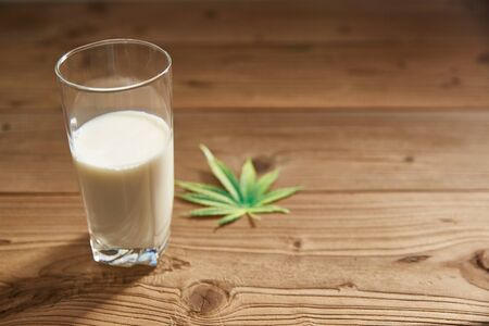 homemade vegan milk from hemp seeds in a glassの写真素材