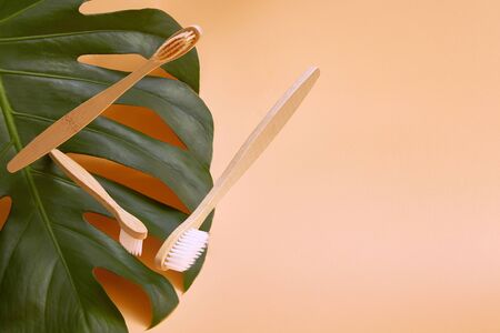 Wooden bamboo toothbrushes in flight on a background of green plant monstera leaf with copy space.の写真素材