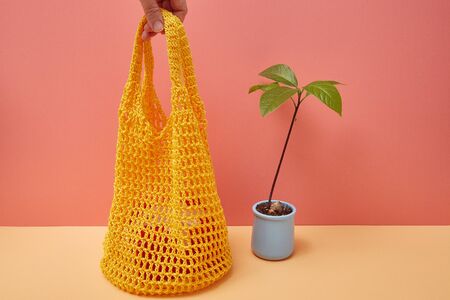 Avocado sprout and string bag on a colored corner background with copy space