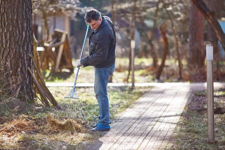 Gardener raking fall leaves in garden. Copy space.