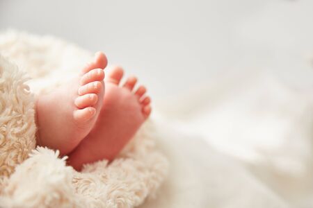 Baby legs close-up. Greeting card with Copyspace. Family concept.の写真素材