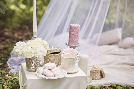 tea party on a picnic in the forest with a tentの写真素材