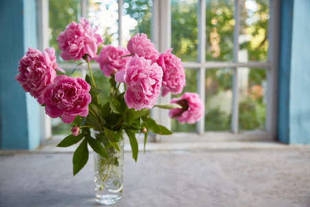 Peonies in a vase on the table against the background of the window.の写真素材