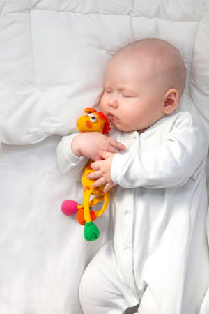Baby sleeps on white bed linen. Cute infant hugs a giraffe toyの写真素材