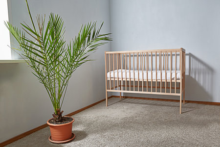 Minimalistic babys room interior with childs bed. A large stylish flower in a pot on the floorの写真素材