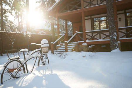 Garden decorations winter season. Garden stand flower pots shape bicycleの写真素材