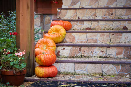 Pumpkins on the steps of the house. Decorations for Halloween celebrations