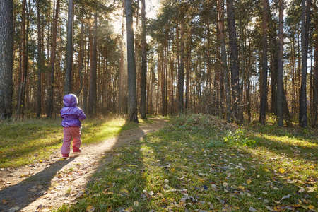 The girl is standing in an autumn park with pine trees. People from Behind. Copy spaceの写真素材