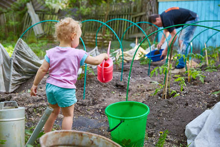 little kid helps his dad water the beds in the garden. The concept of poverty and misery.の写真素材