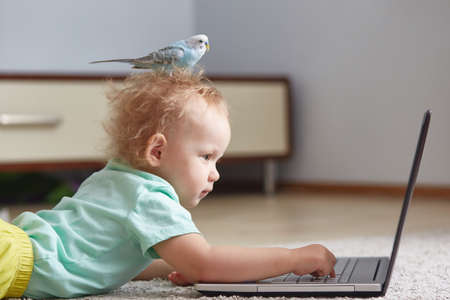 little kid is sitting at home at a laptop with a pet on his head.の写真素材