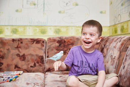 The boy playing with the parrot on his handの写真素材