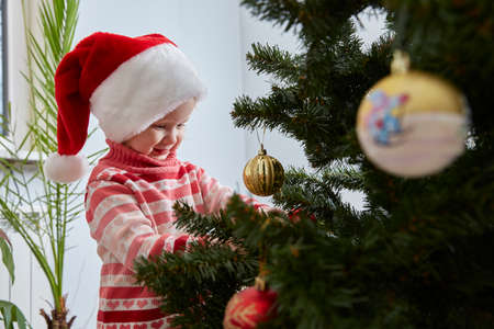 happy little girl in a Santa Claus hat is decorating the Christmas tree with toys and trinkets. Cute baby is decorating home to celebrate Christmas.の写真素材