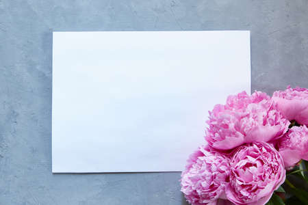 white paper on a gray background and a bouquet of pink peoniesの写真素材