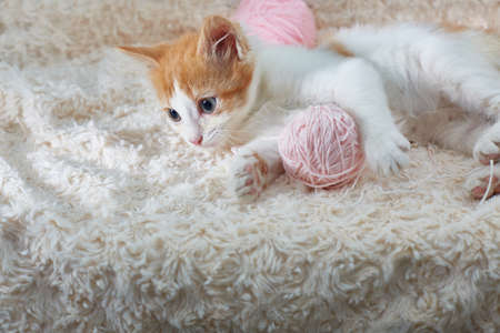 kitten is lying with a ball of pink threadsの写真素材