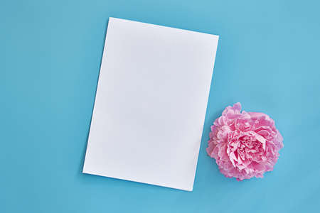 sheet of white paper with space for text on a blue background. Peony flower.Top view, copy space.の写真素材