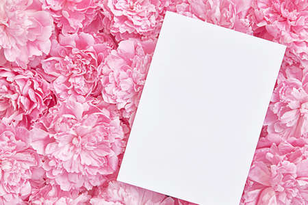 white sheet of paper on a floral pink background. The concept of spring and tendernessの写真素材