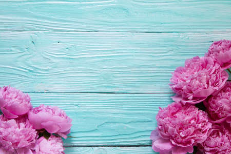 Wooden blue background with peony flowers. Copy space. Wedding, gift card, valentines day or mothers day backgroundの写真素材
