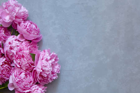 bouquet of pink peonies on a concrete gray background with a copy space for congratulations on birthday, Valentines day, mothers day.の写真素材