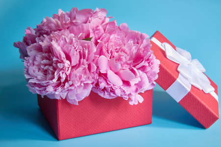 red box with pink flowers on a blue backgroundの写真素材