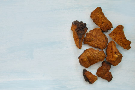 Dried chaga mushroom on a wooden blue background with a copy spaceの写真素材