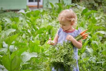 girl studying the world is standing in the garden with a carrot in her hands. A sunny summer day. Health and healthy natural foodの写真素材