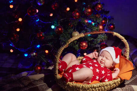 Newborn baby sleeps in a Santa Claus hat under a Christmas tree in a basket.の写真素材