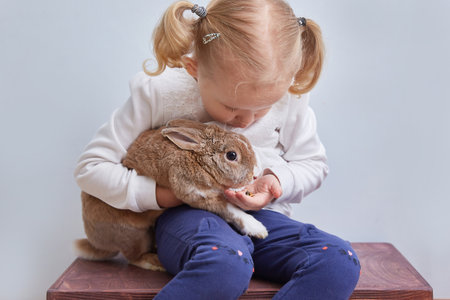 little girl feeds from the hands of a decorative rabbit a petの写真素材