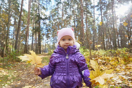 Child outdoors on a sunny autumn day. With a bunch of leaves in handの写真素材