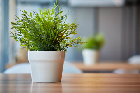 Pots of green plants in the office on the table. Blurred background with space for text.の写真素材