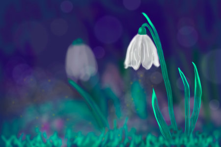 A magical snowdrop on a dark background.の写真素材