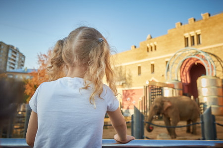 A faceless curly-haired girl enthusiastically looks at an elephant in the zoo. The concept of recreation and entertainmentの写真素材