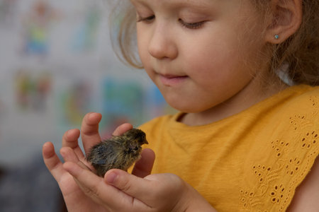 A girl is playing with a small bird pet. Friendship of animals and people.の写真素材