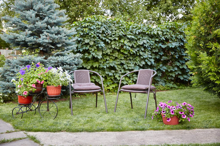 In summer, the small Canadian garden is beautifully landscaped. Armchairs surrounded by plants in...