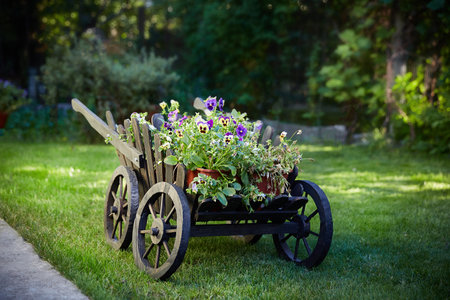 The Decor of the English Old Garden. An old-fashioned wooden cart used as an installation with flower pots in the countryside, an art object with country-style flowers.の写真素材