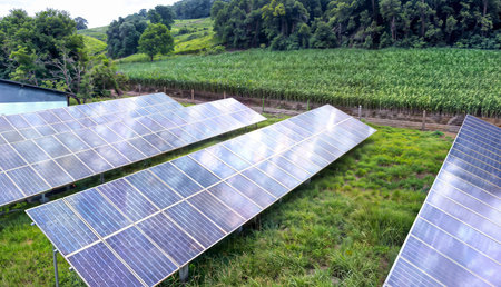 Solar panels in green field. Alternative energy source. Clean energy conceptの素材
