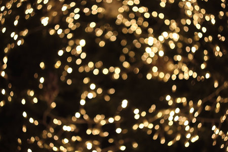 bokeh backgroundの写真素材