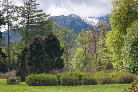 View of the High Tatras mountains from Tatranska Lomnica. Slovakia.の写真素材