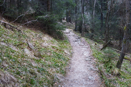 The narrow pathway in the High Tatras mountains.の写真素材