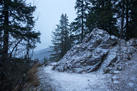 Old frozen pathway in the High Tatras mountains.の写真素材