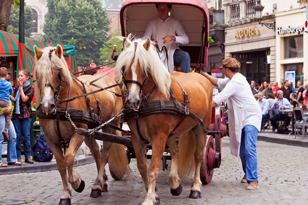 BRUSSELS, BELGIUM - SEPTEMBER 06, 2014: Presentation of the Bavik brewery with horse carriage during parade of beer manufacturers in Belgian Beer Weekend 2014.のeditorial素材