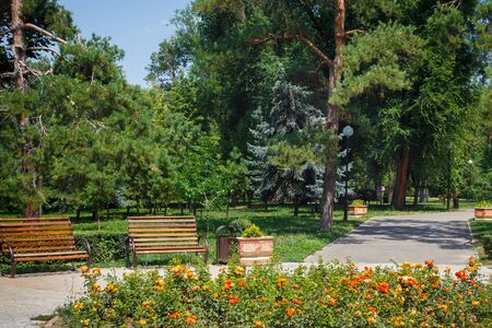 View of the benches in 28 Panfilov city park in Almaty, Kazakhstan.の写真素材