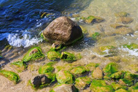 Large stone covered with green algae on the sea coast.